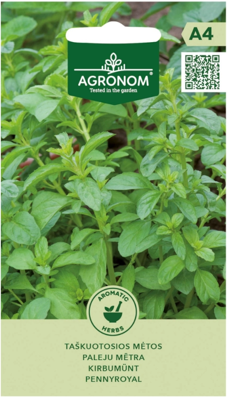 Mięta polej Pennyroyal aromatyczna i kwitnąca nasiona AGRONOM